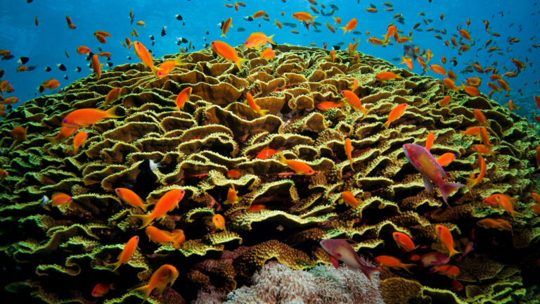 Hurghada