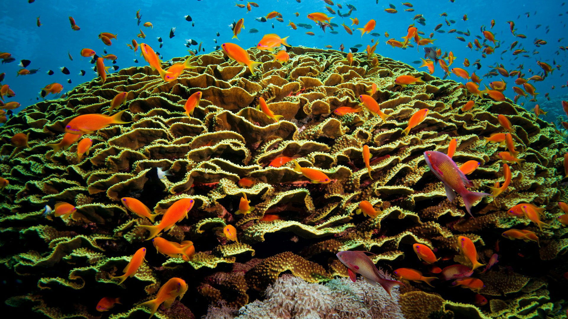 Hurghada