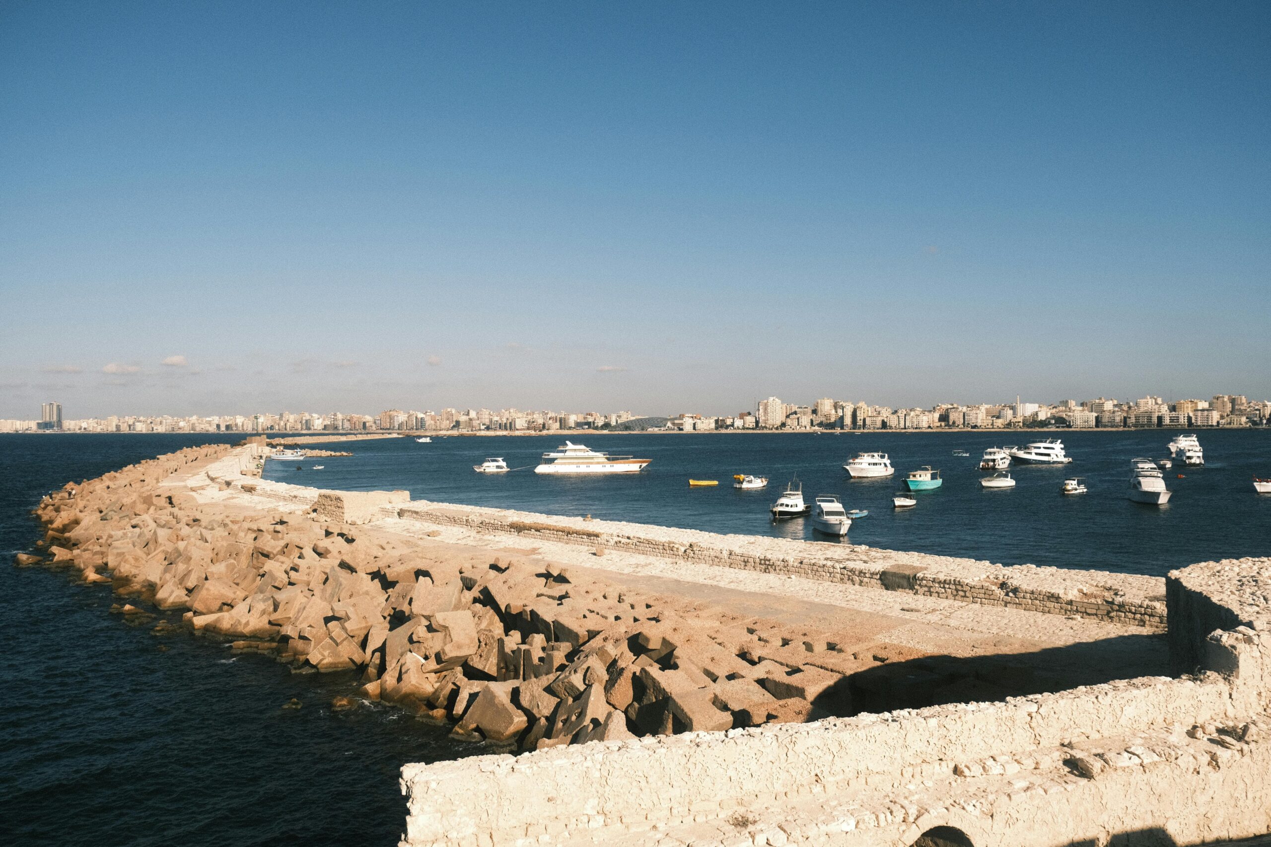 alexandria panoramic view